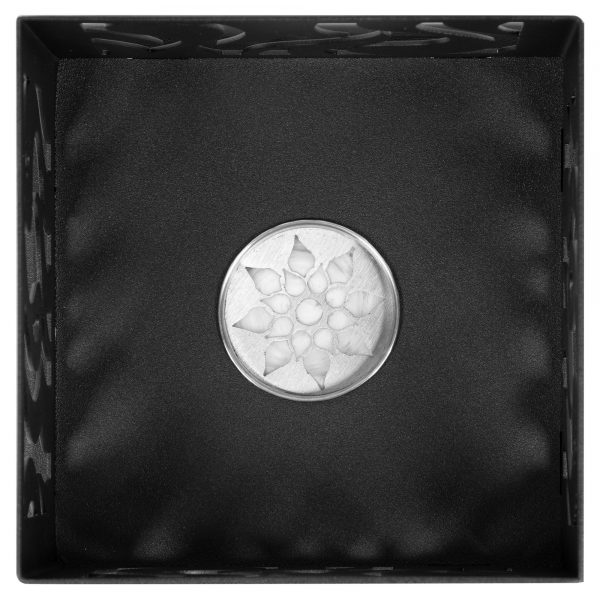 Биокамин Firelight BFP/T-2020 Black — изображение 6