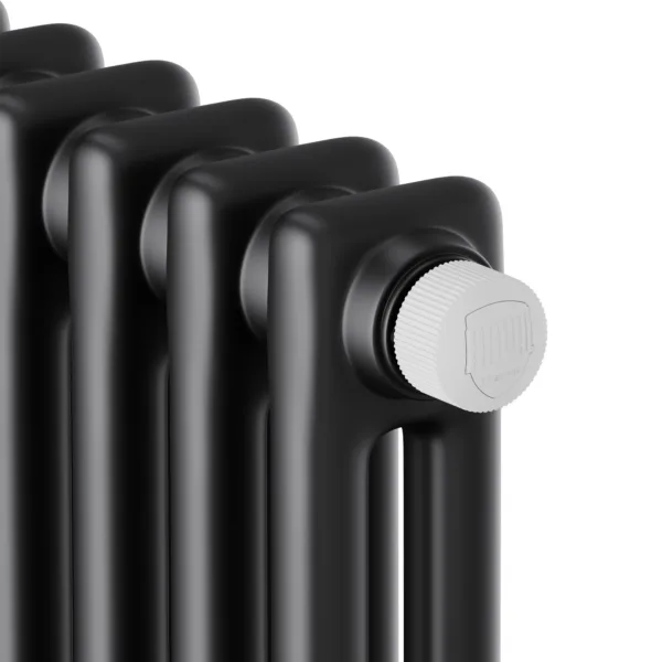 Дизайн-радиатор Royal Thermo Insignia VC2180 - 12 секц. RAL9005m — изображение 3