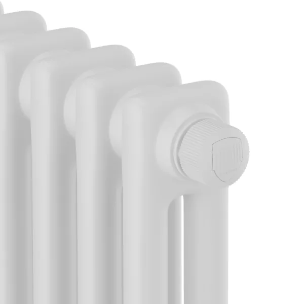 Дизайн-радиатор Royal Thermo Insignia VC2180 - 12 секц. RAL9016 — изображение 3