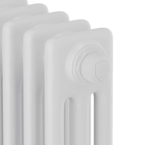 Дизайн-радиатор Royal Thermo Insignia VC3050 - 26 секц. RAL9016 — изображение 3