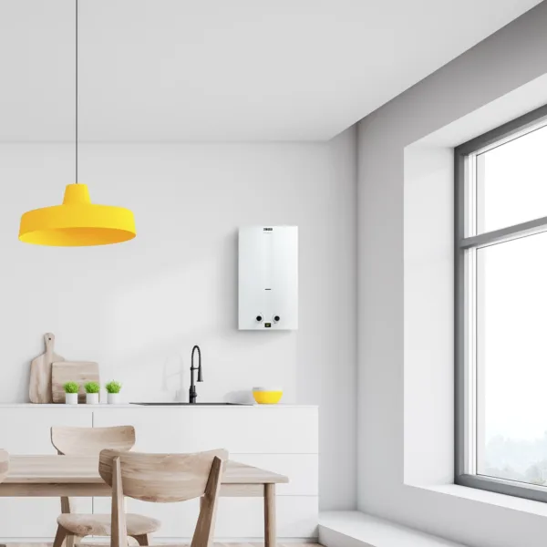 Колонка газовая Zanussi GWH 12 Fonte — изображение 8