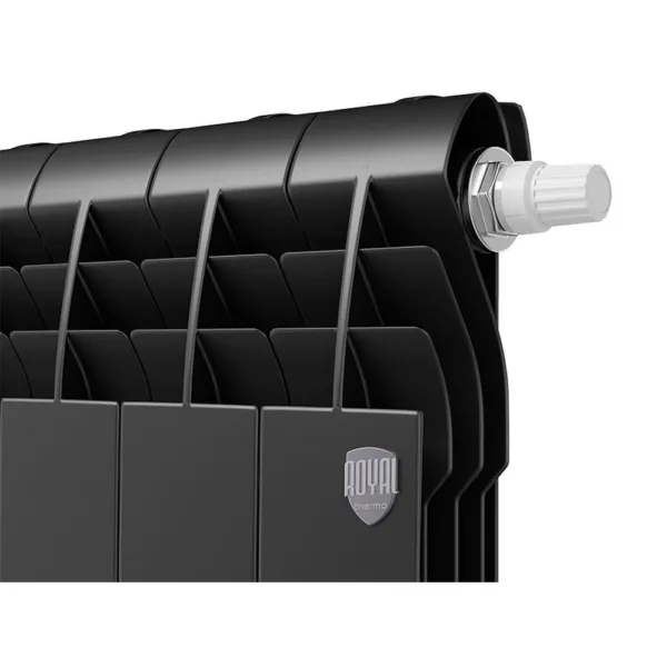 Радиатор Royal Thermo BiLiner 350 /Noir Sable VR - 10 секц. — изображение 2