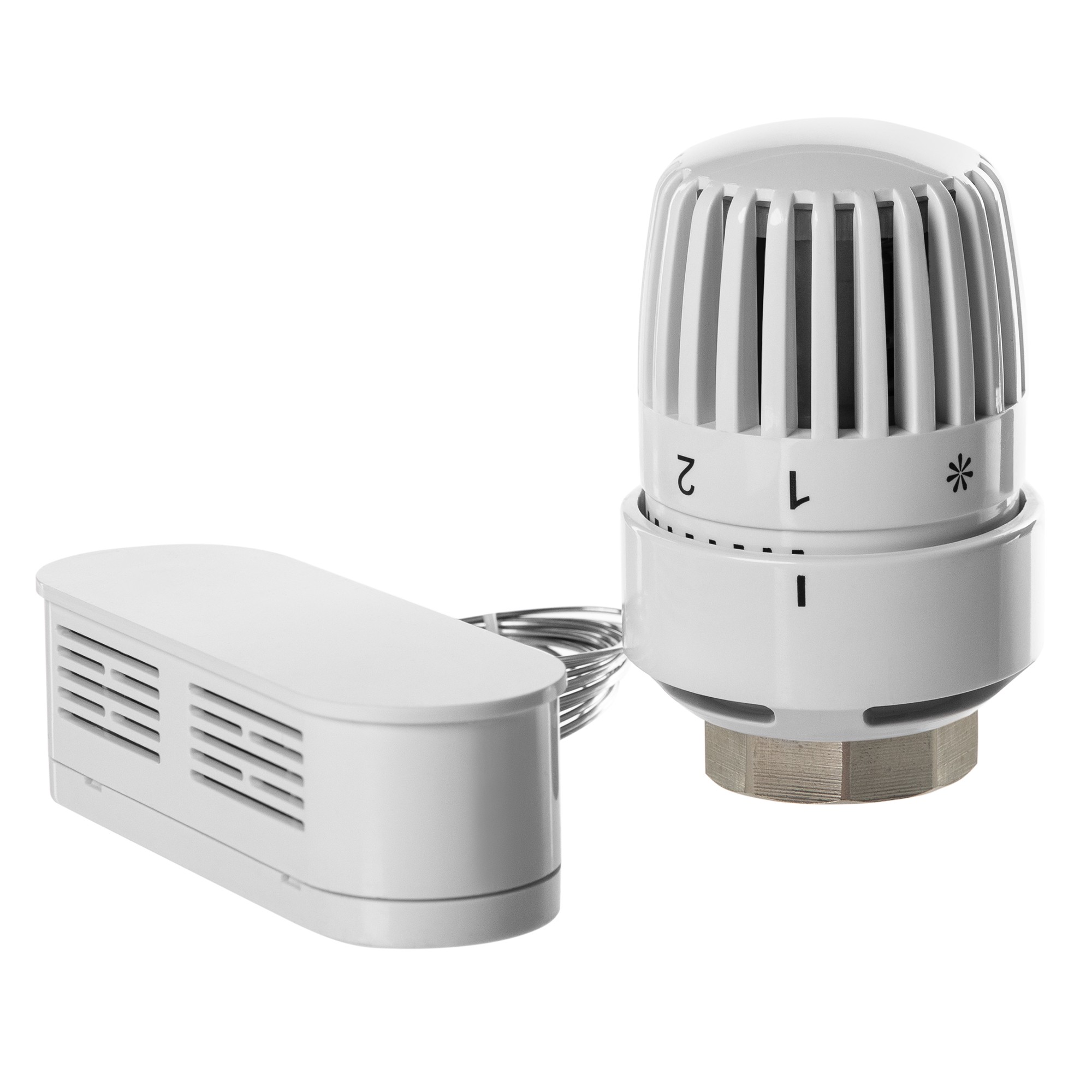 Термоголовка жидкостная Royal Thermo BASIC с выносным датчиком М30х1
