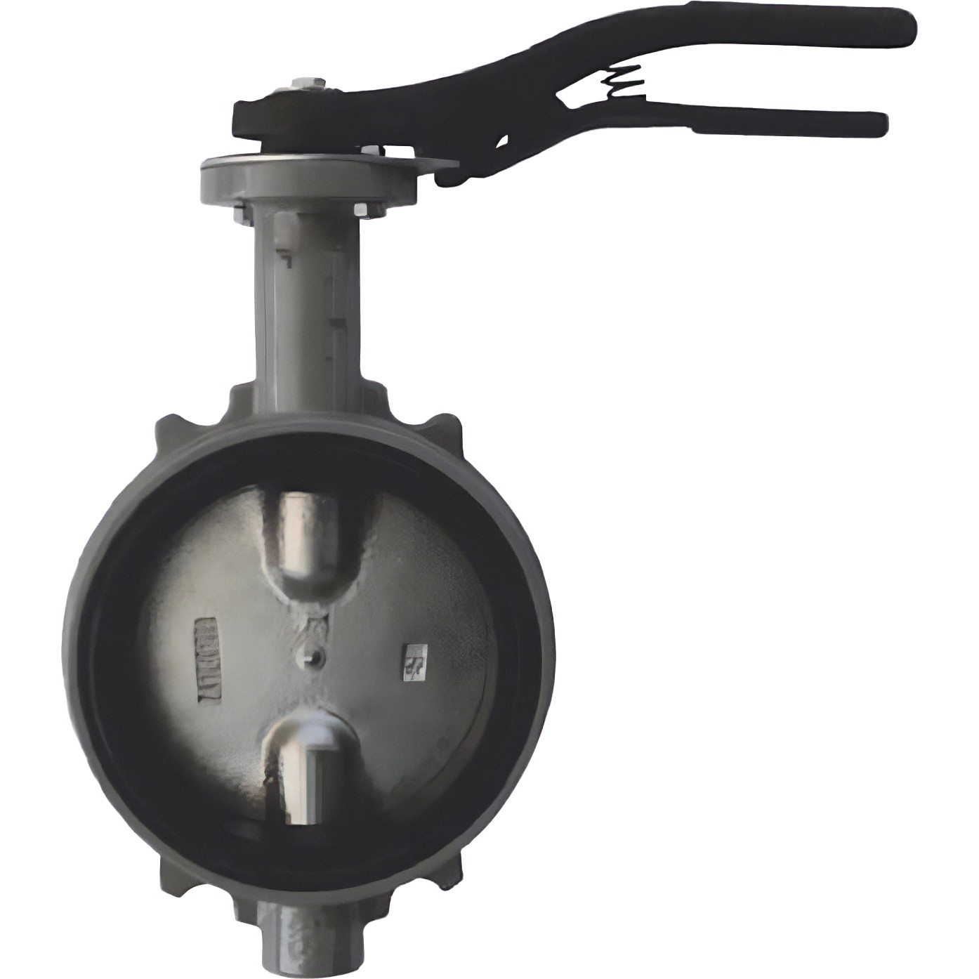 Затвор дисковый Giacomini поворотный DN250